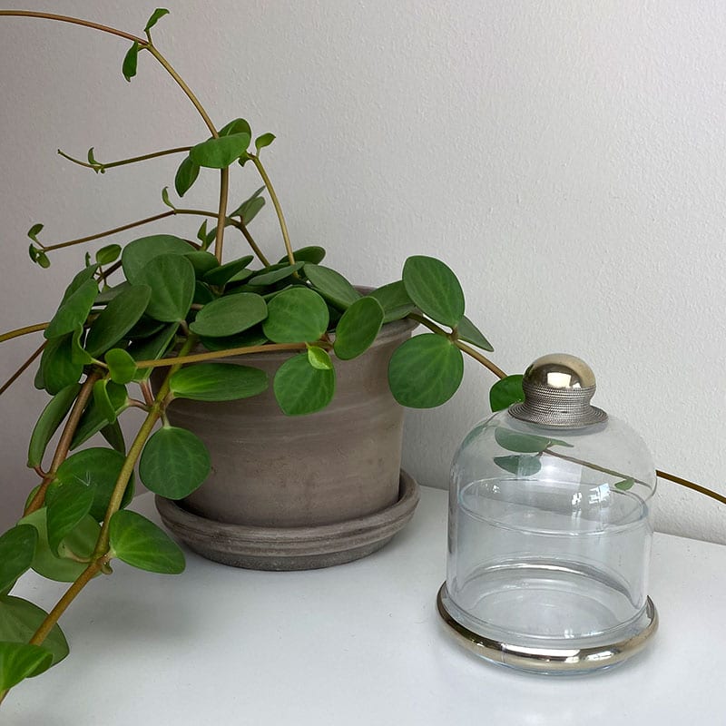 Glasklokke - Billede 2